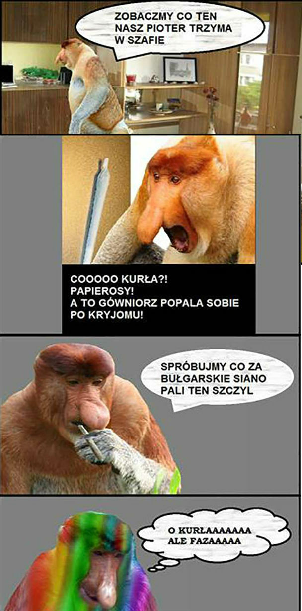 Co Pioter trzyma w szafie?