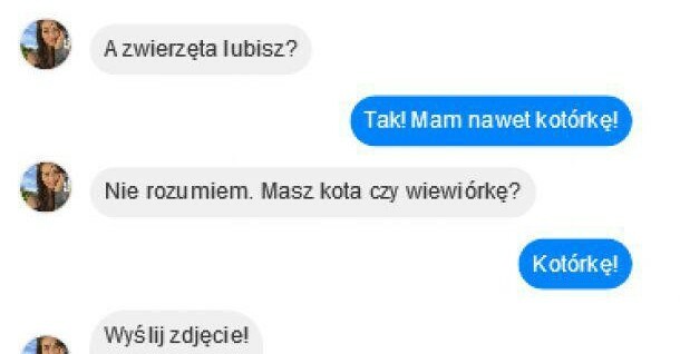 Kotórka