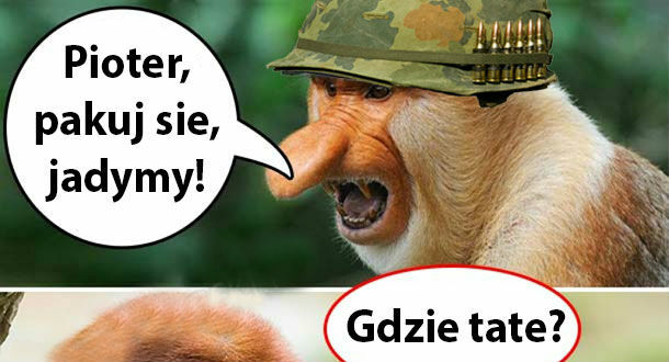Plan Janusza