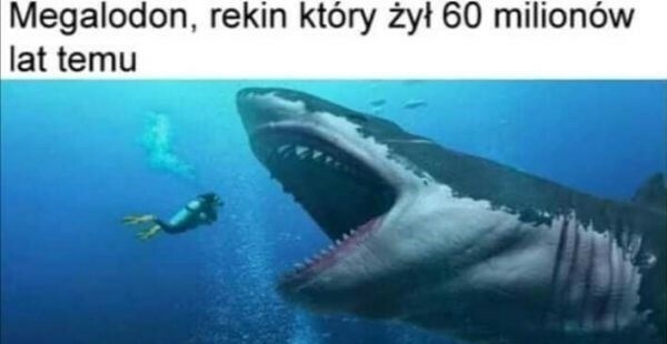 I wszystko stało się jasne! :D