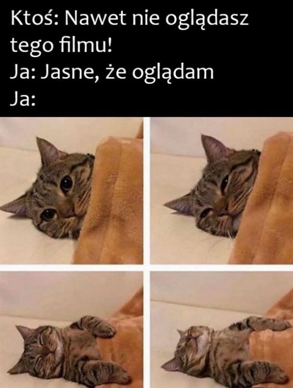 Za każdym razem to samo :D
