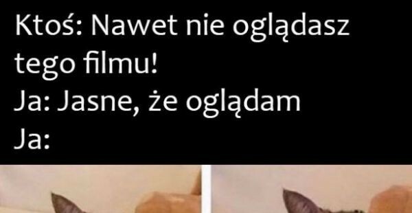 Za każdym razem to samo :D