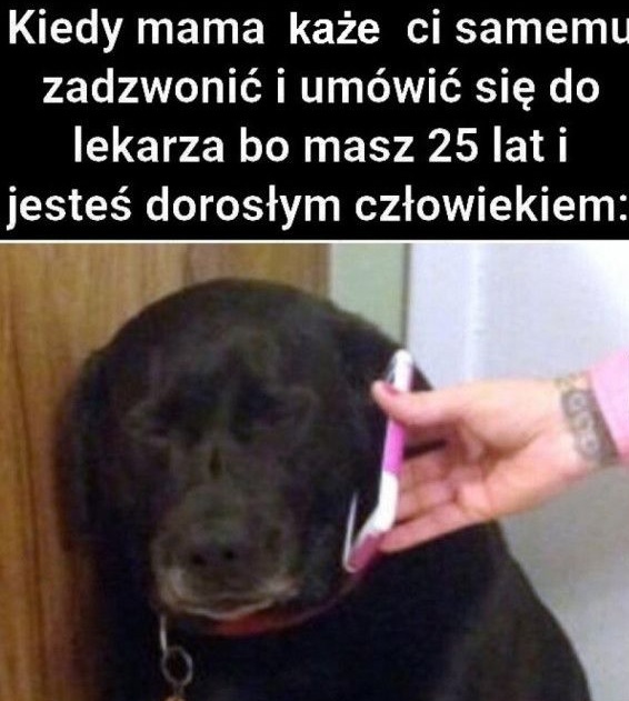 Dorosłość bywa bolesna :D