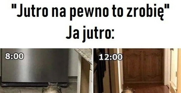 Zmęczenie okazało się silniejsze :D