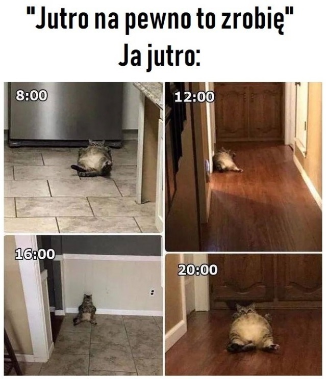 Zmęczenie okazało się silniejsze :D