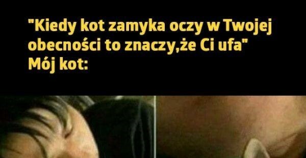 Chyba mi nie ufa :D