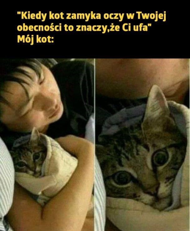 Chyba mi nie ufa :D