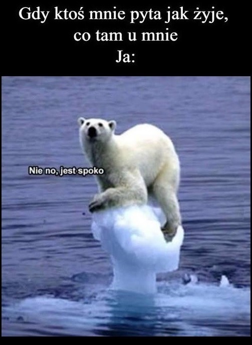 Co u Ciebie? :D