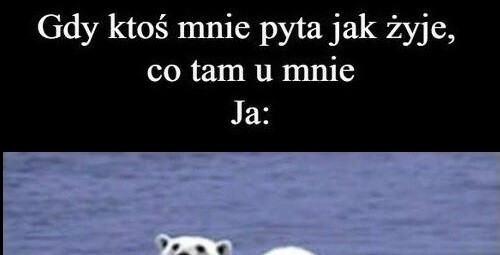 Co u Ciebie? :D