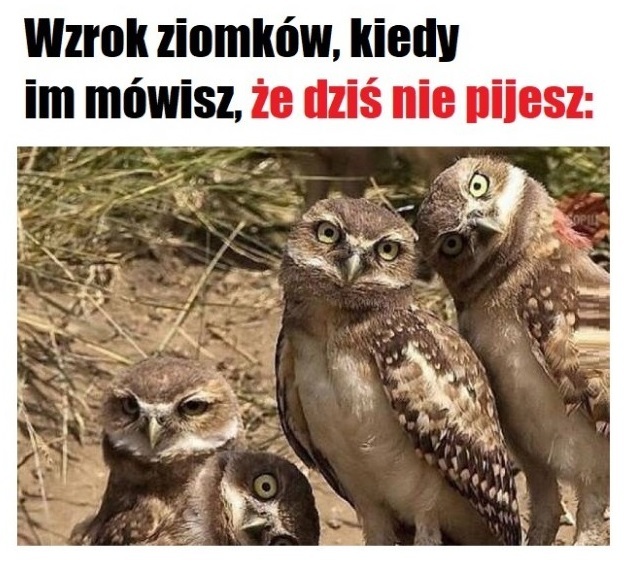 Na takie tematy się nie żartuje :D