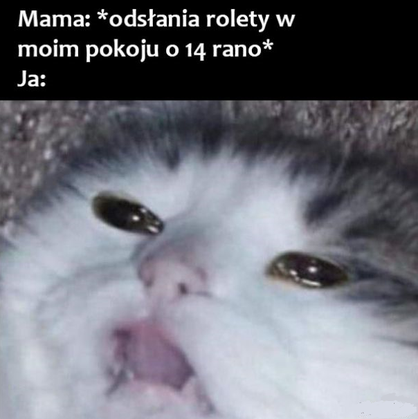 14:00 rano :D