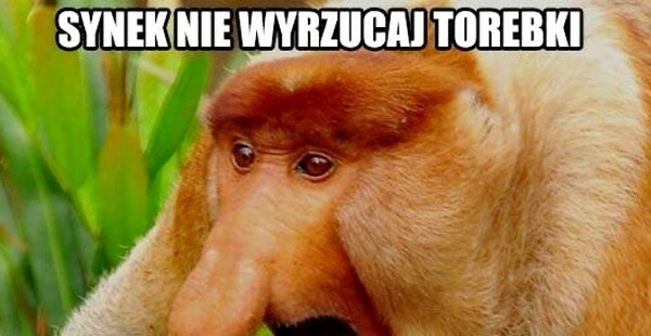 Mistrz oszczędzania :D