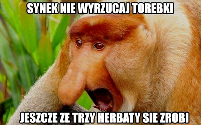 Mistrz oszczędzania :D