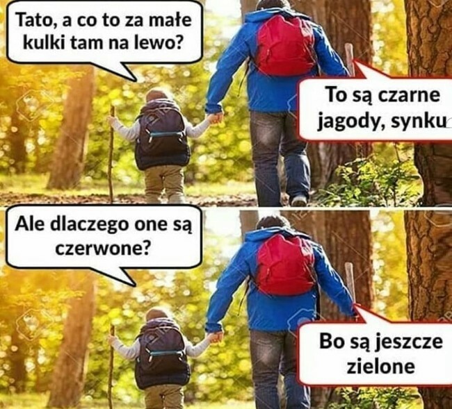 Jagody - tego nie ogarniesz :D