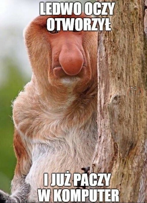 Ledwo oczy otworzył i już... :D
