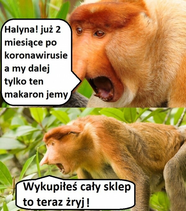 Makaron po koronawirusie :D