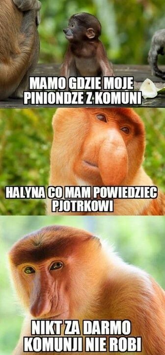 Gdzie się podziała kasa z komunii? :D