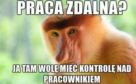 Praca zdalna u Januszexa :D