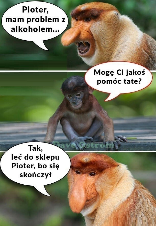 Problem z alkoholem