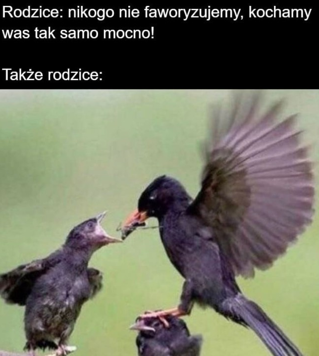 Uczucia rodziców :D