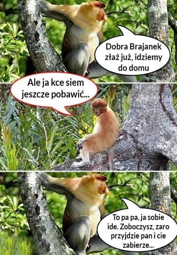 Spacer z Brajankiem :D