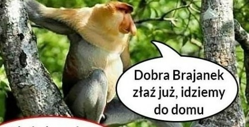 Spacer z Brajankiem :D