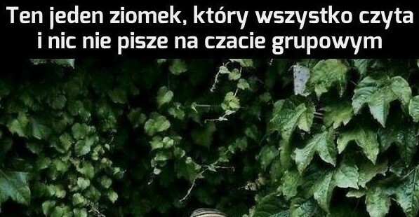 Tajniak na czacie grupowym