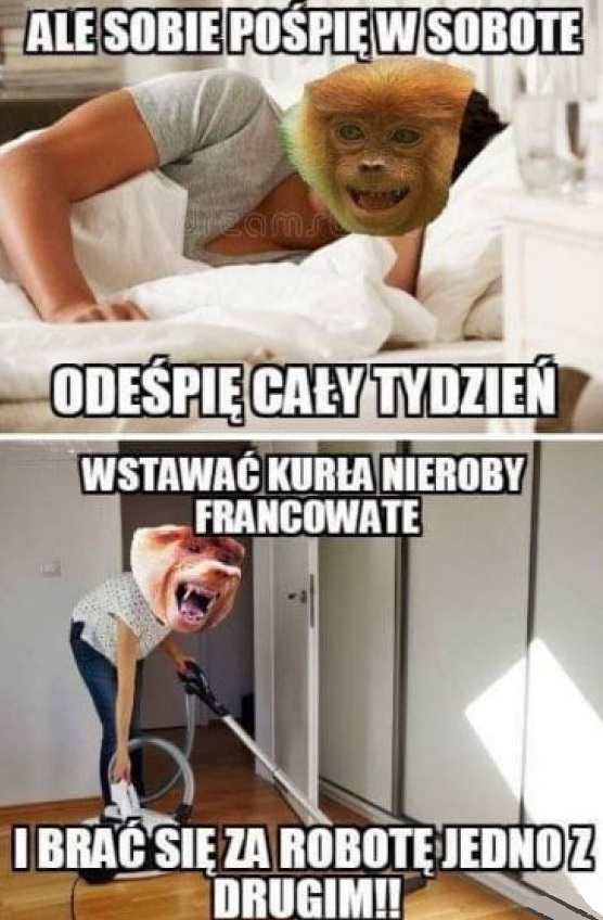 Sobotni poranek :D