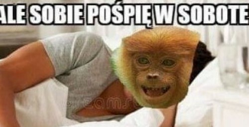 Sobotni poranek :D
