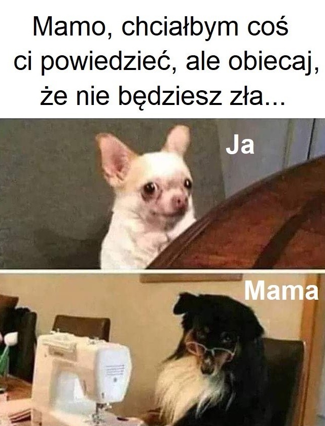 Przyznanie do winy :D