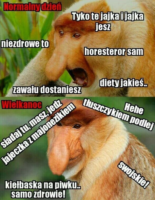 Normalny dzień vs Wielkanoc :D