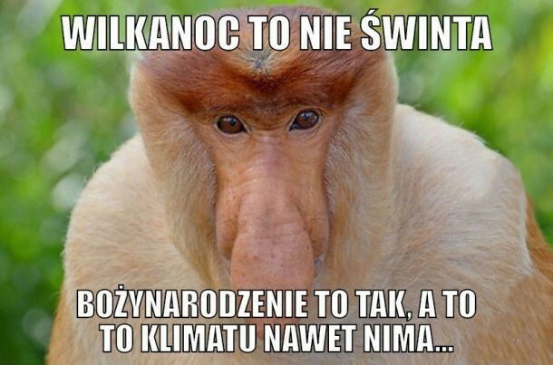 Co Janusz myśli o Wielkanocy? 