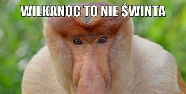 Co Janusz myśli o Wielkanocy? 