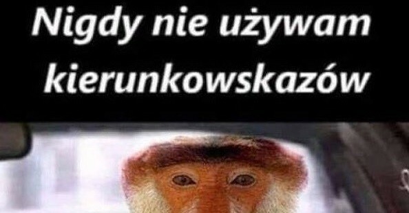 Janusz - kierowca na medal :D