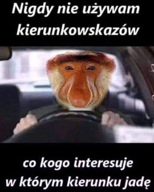 Janusz - kierowca na medal :D