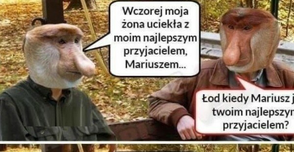 Przyjaciel od zaraz