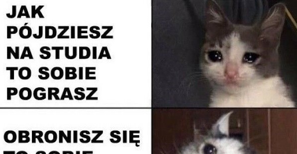 Najlepszy czas na grę