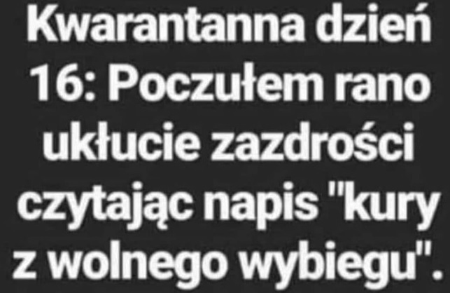 Kwarantanna ciąg dalszy :D