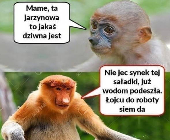 Sałatka jarzynowa