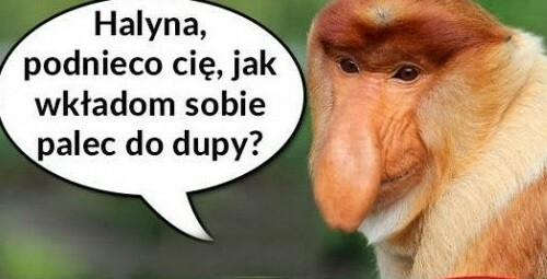 Ciekawe pytanie Janusza :D