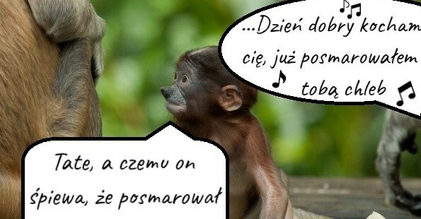 Janusz - znawca muzyki :D