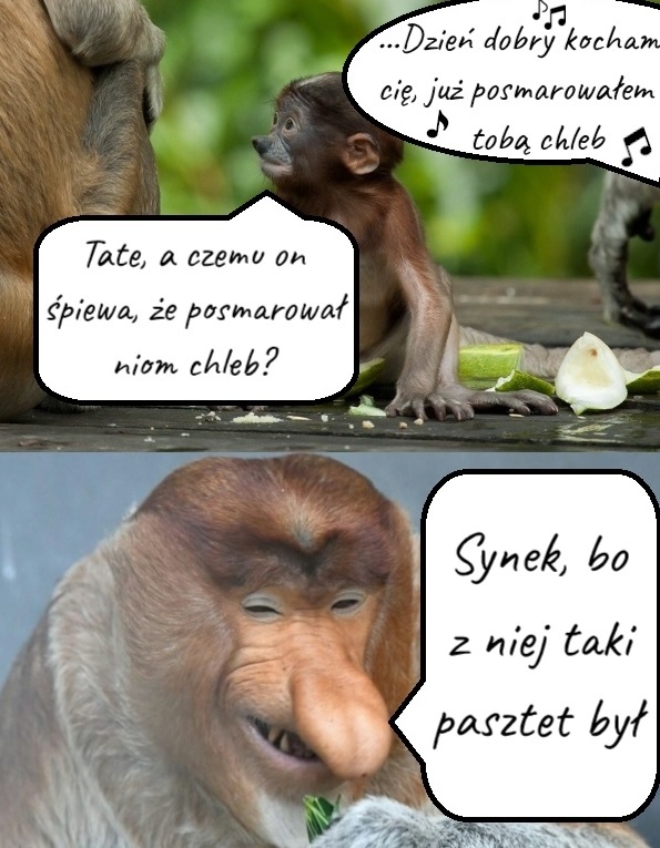 Janusz - znawca muzyki :D