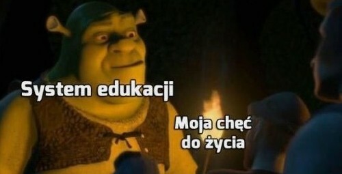 Polska edukacja vs szczęśliwe życie