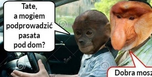 Mały Pjoter kierowcą :D