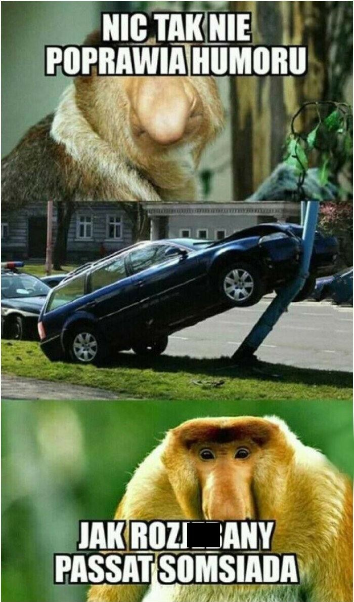 Nic tak nie poprawia humoru