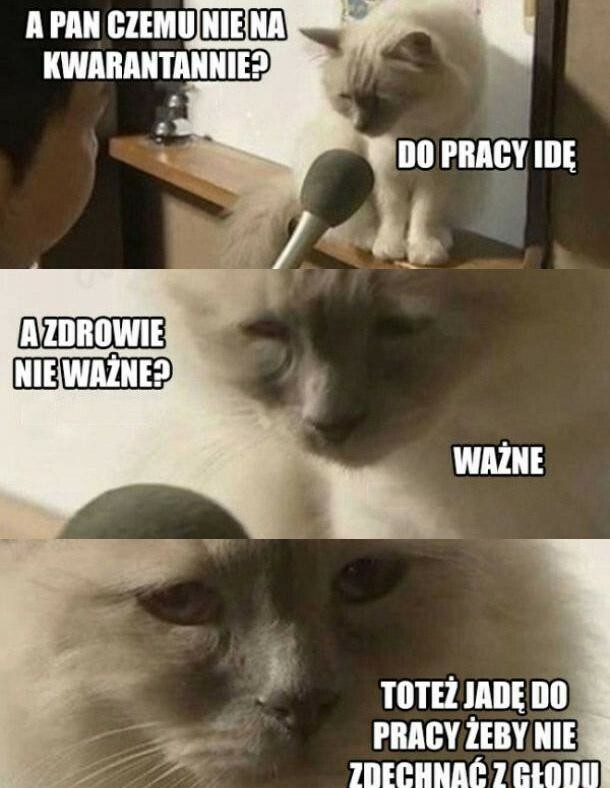 Praca w trakcie epidemii taka jest