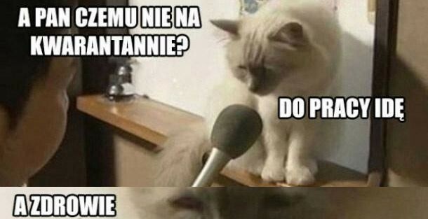 Praca w trakcie epidemii taka jest