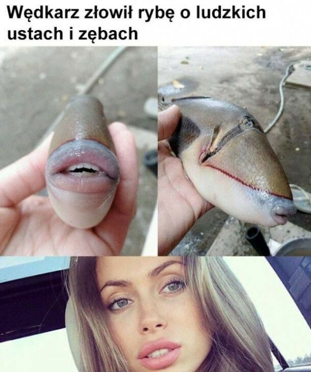 Ludzka ryba :D