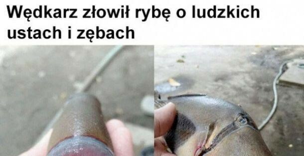 Ludzka ryba :D