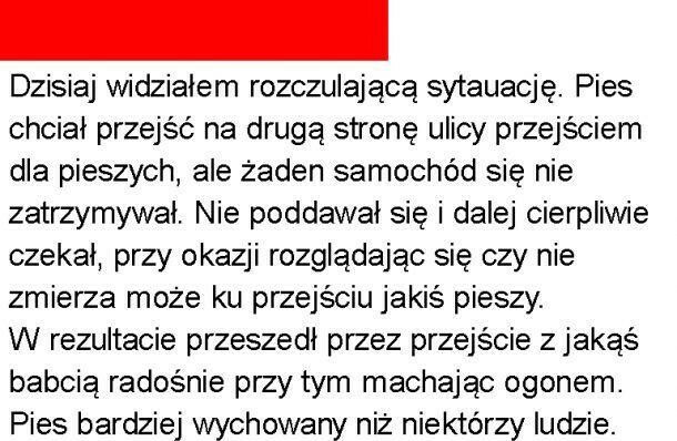 Rozczulająca sytuacja